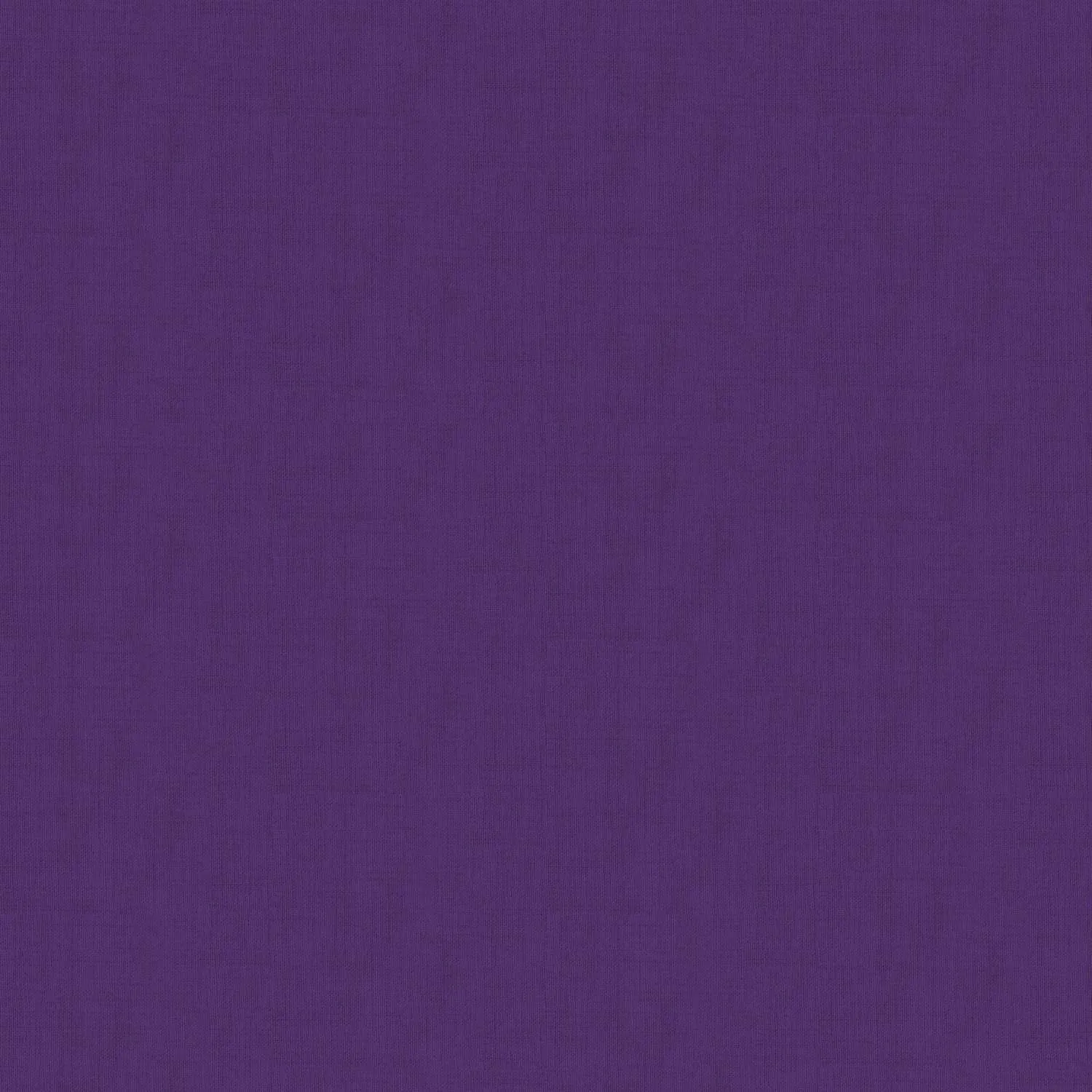 IMG_1923.webp