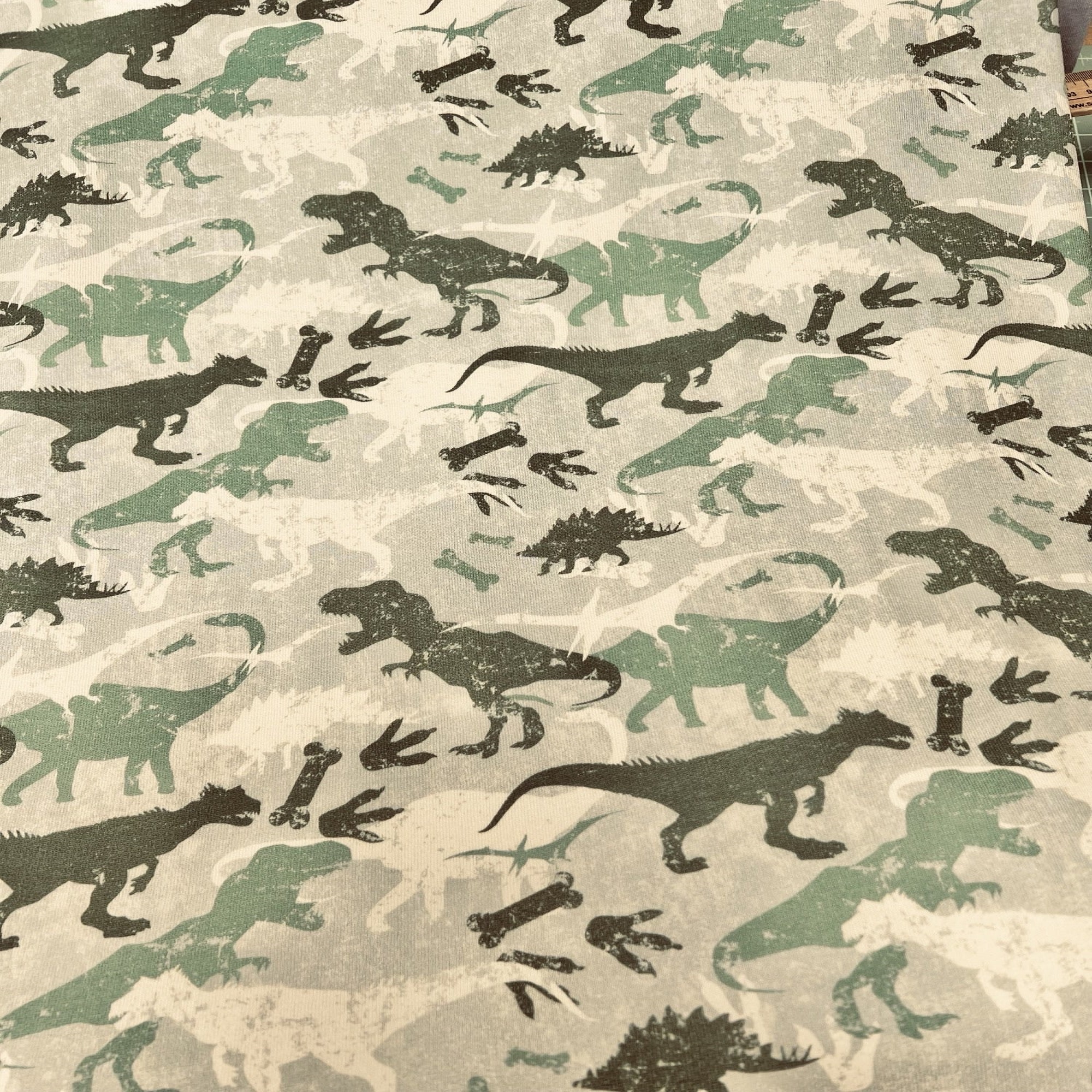 Dinosaur-Print-Sweatshirt-Fabric-Digital-Jersey-Knit-for-Dressmaking.jpg